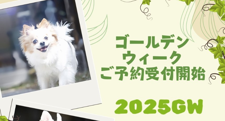 GWのご予約受付開始しました。